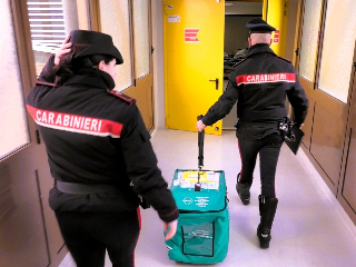 Trasporto urgente di un rene da Pavia ad Ancona: missione dei carabinieri per il trapianto